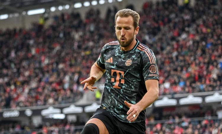 正是依靠了 正是依靠了