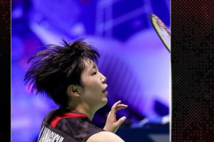 展现了极强 展现了极强