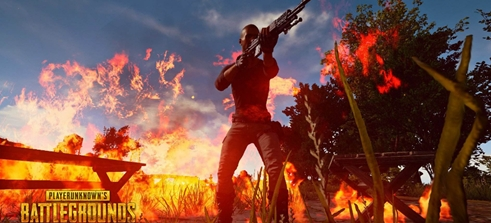 张本智和的 张本智和的