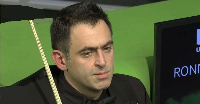 成功的案例 成功的案例