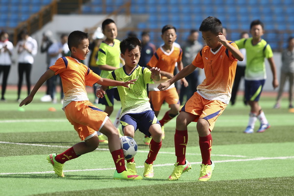 价值和赞助 价值和赞助